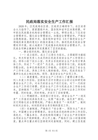 民政局落实安全生产工作汇报
