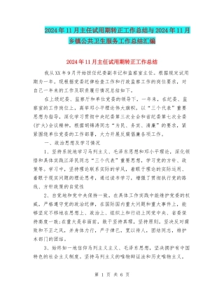 2024年11月主任试用期转正工作总结与2024年11月乡镇公共卫生服务工作总结汇编