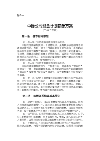 中脉公司现金计划薪酬方案