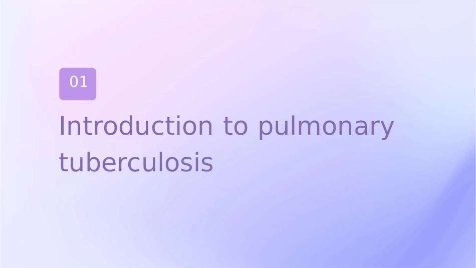 肺结核英文讲稿课件_第3页