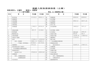 财务报表信息表