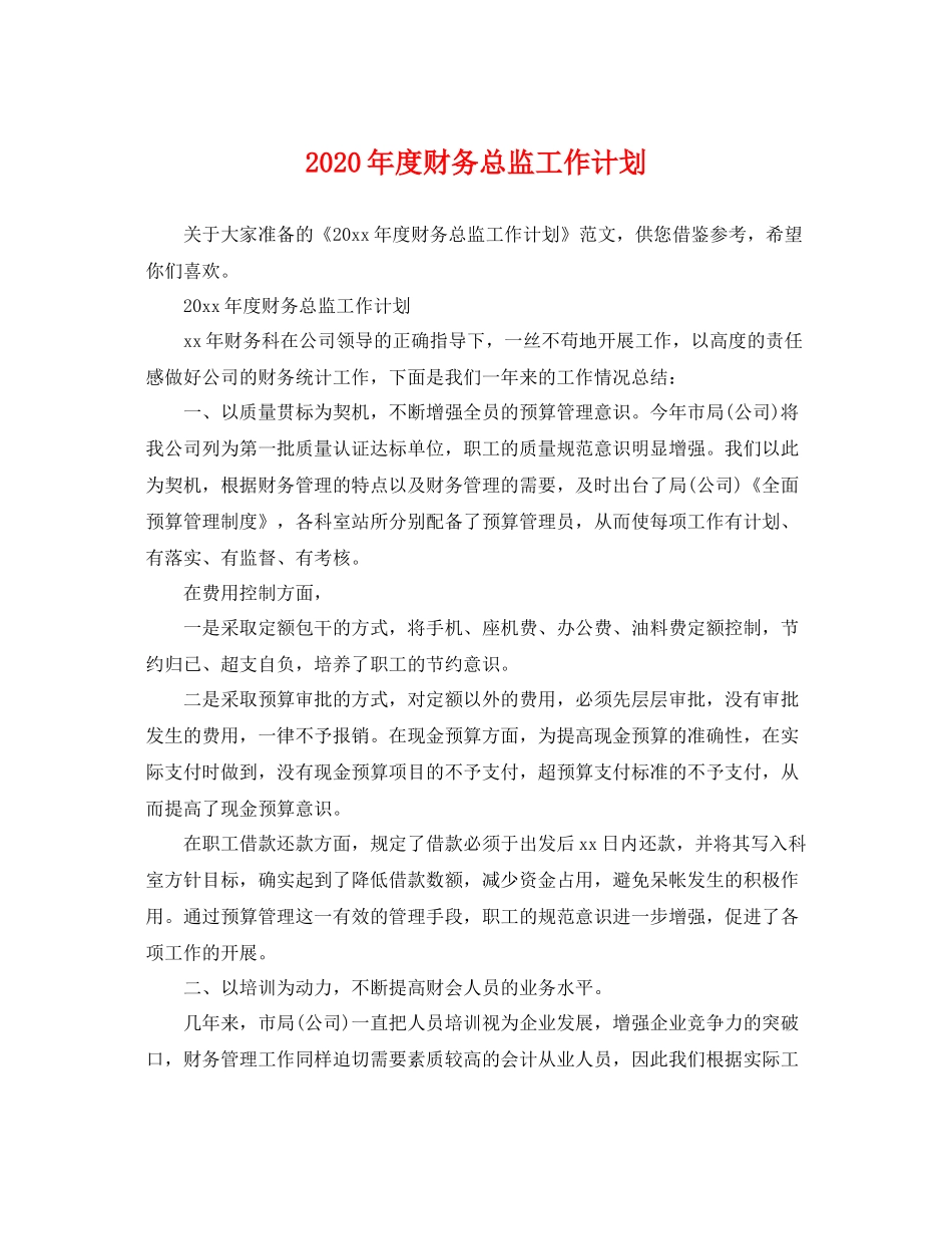 2020年度财务总监工作计划 _第1页