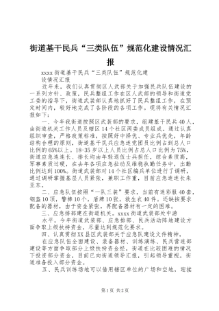 街道基干民兵“三类队伍”规范化建设情况汇报