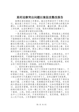 某村巡察突出问题以案促改整改报告