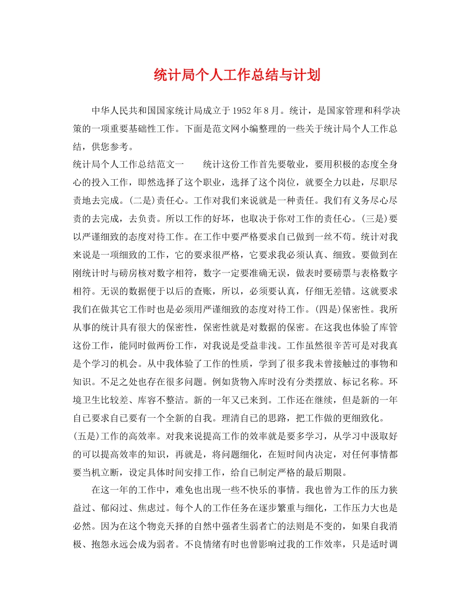 统计局个人工作总结与计划 _第1页