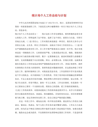 统计局个人工作总结与计划 