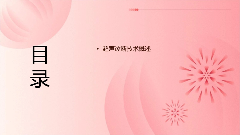 超声诊断综合概论课件_第2页