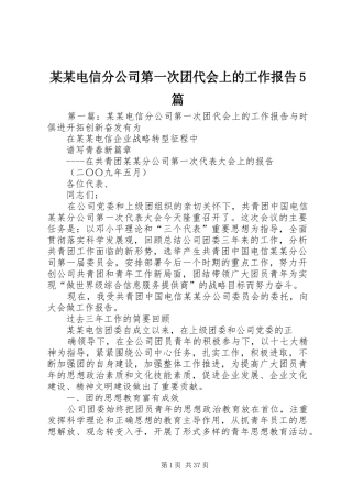 某某电信分公司第一次团代会上的工作报告5篇