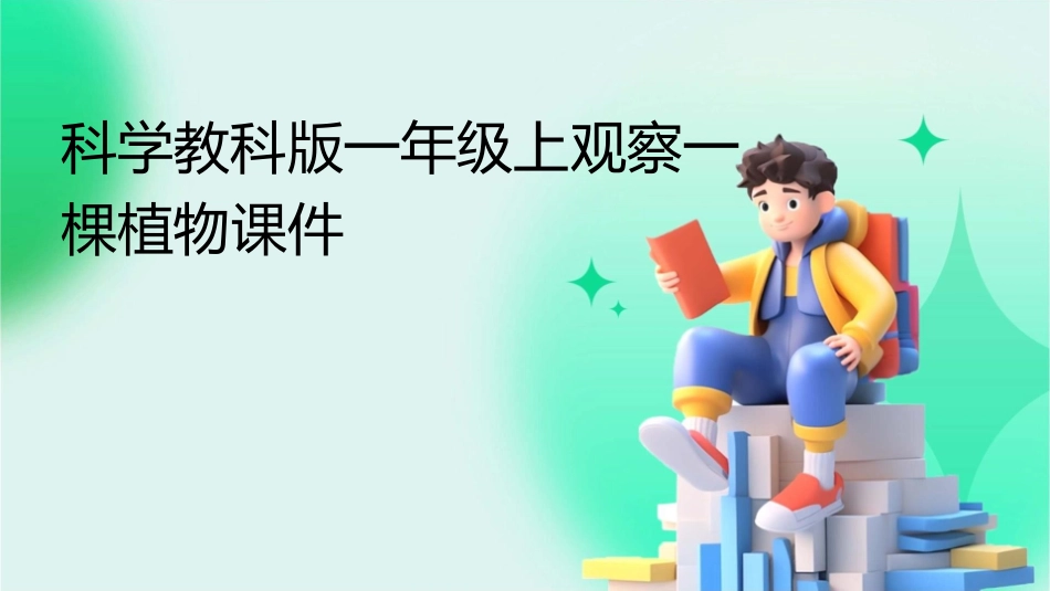科学教科版一年级上观察一棵植物课件_第1页