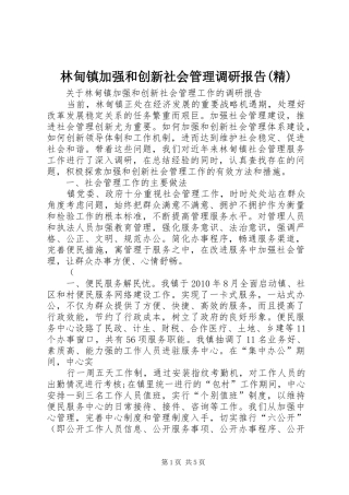 林甸镇加强和创新社会管理调研报告(精)