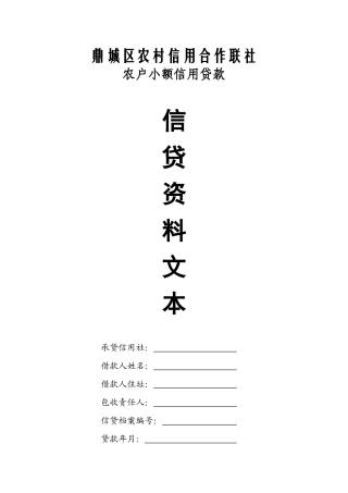 农户小额信用贷款888整套文本