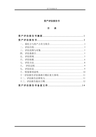 某公司资产评估报告