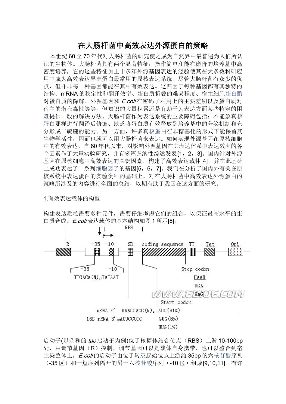 在大肠杆菌中高效表达外源蛋白的策略_第1页