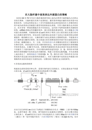 在大肠杆菌中高效表达外源蛋白的策略