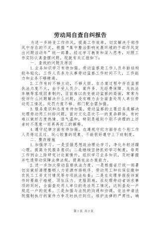 劳动局自查自纠报告