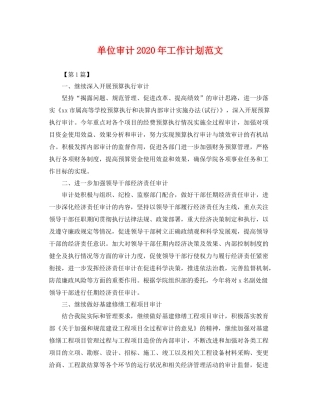 单位审计年工作计划范文 