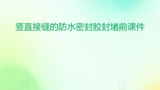 竖直接缝的防水密封胶封堵前课件