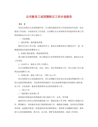 公司新员工试用期转正工作计划报告 