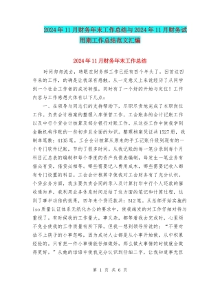 2024年11月财务年末工作总结与2024年11月财务试用期工作总结范文汇编