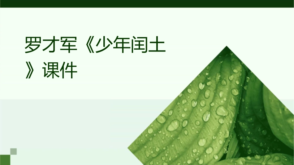 罗才军《少年闰土》课件_第1页