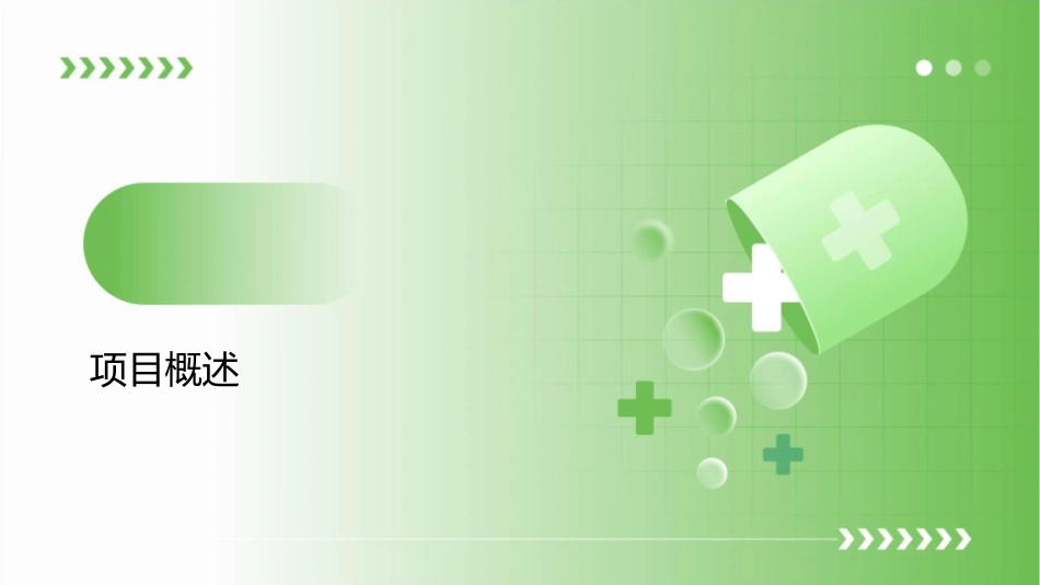 消防支队装备管理与工作流系统项目立案书课件_第3页