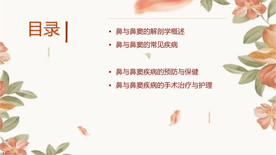 鼻与鼻窦解剖学护理课件_第2页