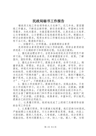 民政局秘书工作报告