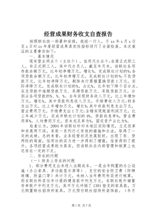 经营成果财务收支自查报告