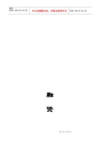 上海某公司融资计划书