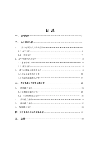 09年苏宁电器财务分析