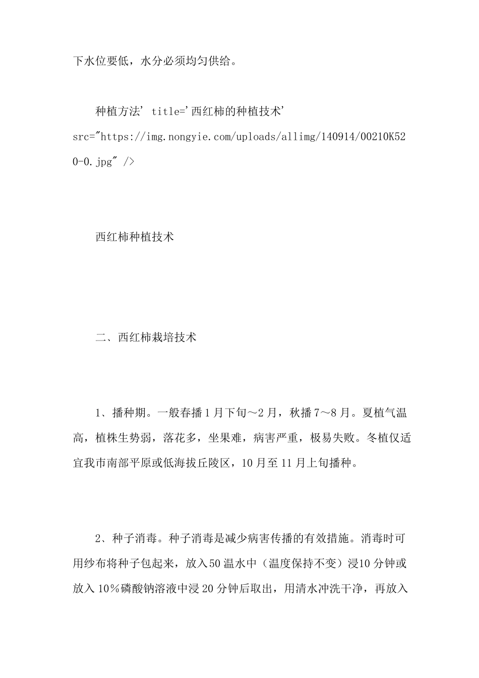 西红柿的种植技术_第2页