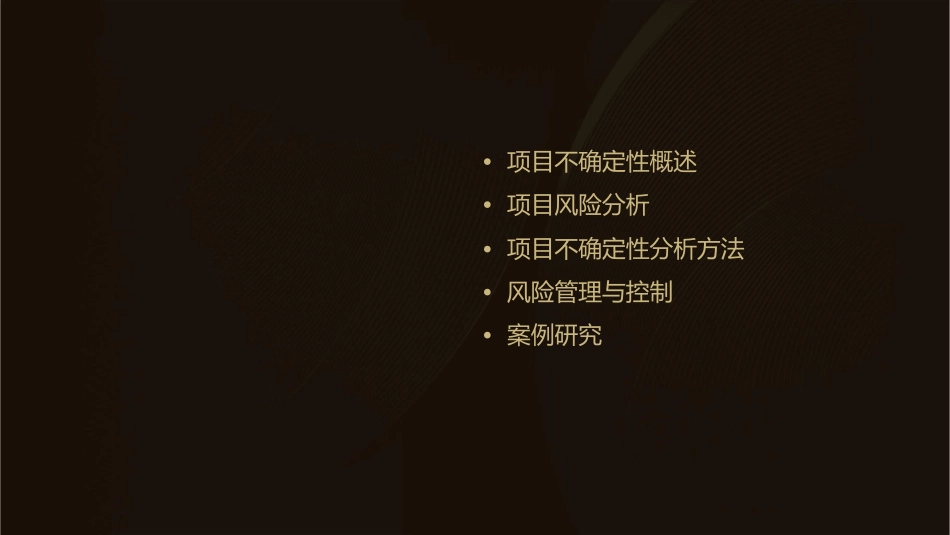 项目不确定性与风险分析课件_第2页