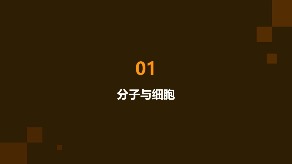 高中生物必修三全套课件(人教版新课标)苏建英_第3页