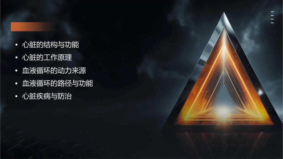 血液循环的动力心脏课件_第2页