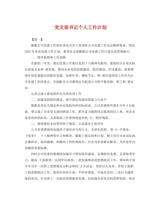 党支部书记个人工作计划 