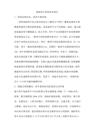 基础母牛饲养技术要点