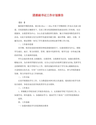 团委副书记工作计划报告 