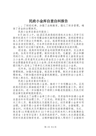 民政小金库自查自纠报告
