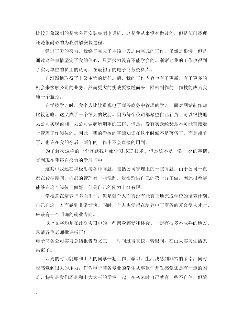 电子商务公司实习总结报告 _第3页