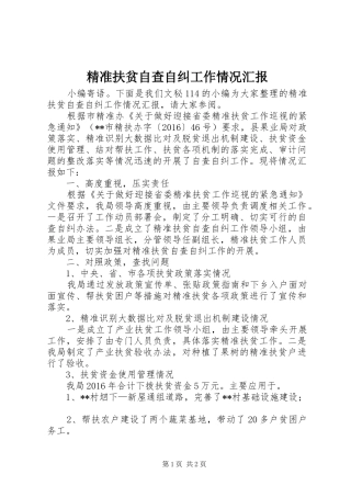 精准扶贫自查自纠工作情况汇报