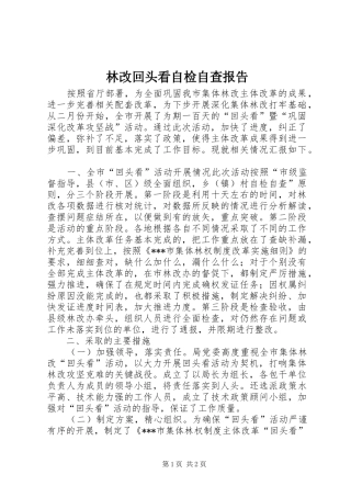 林改回头看自检自查报告