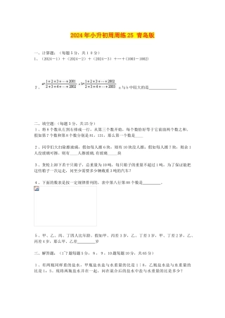 2024年小升初周周练25-青岛版