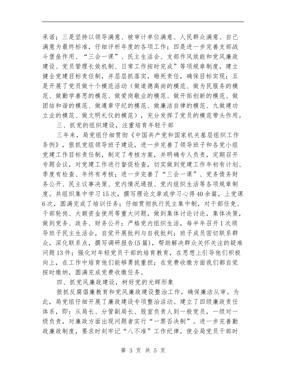 审计局党组述职报告_第3页