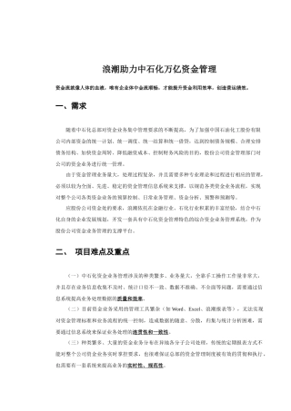 中石化资金管理信息系统