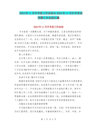 2024年11月手术室工作总结与2024年11月打字员试用期工作总结汇编