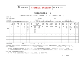 个人所得税明细申报表（一）