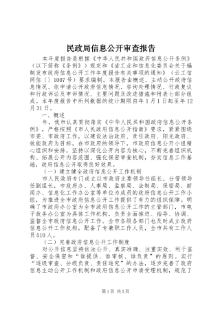 民政局信息公开审查报告