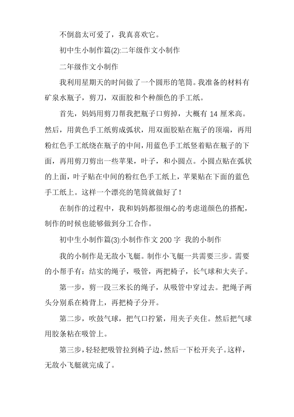 初中生科技小制作初中生小制作多篇_第2页