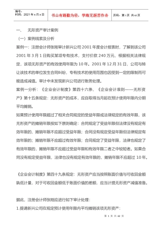无形资产审计案例手册