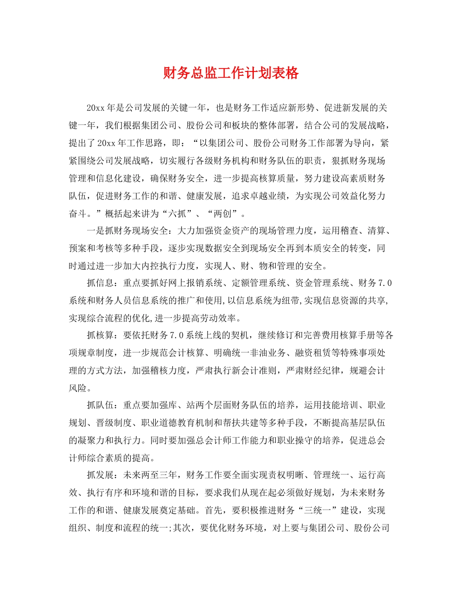 财务总监工作计划表格 _第1页